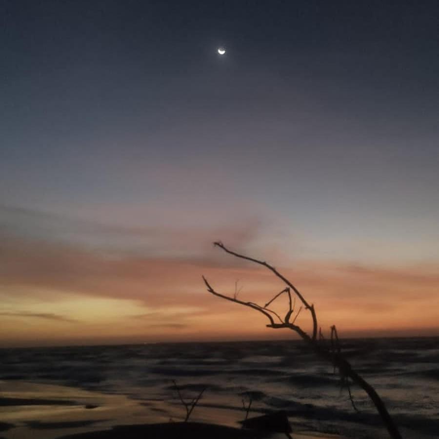 فندق Antara Del Mar سان برناردو ديل فينتو المظهر الخارجي الصورة